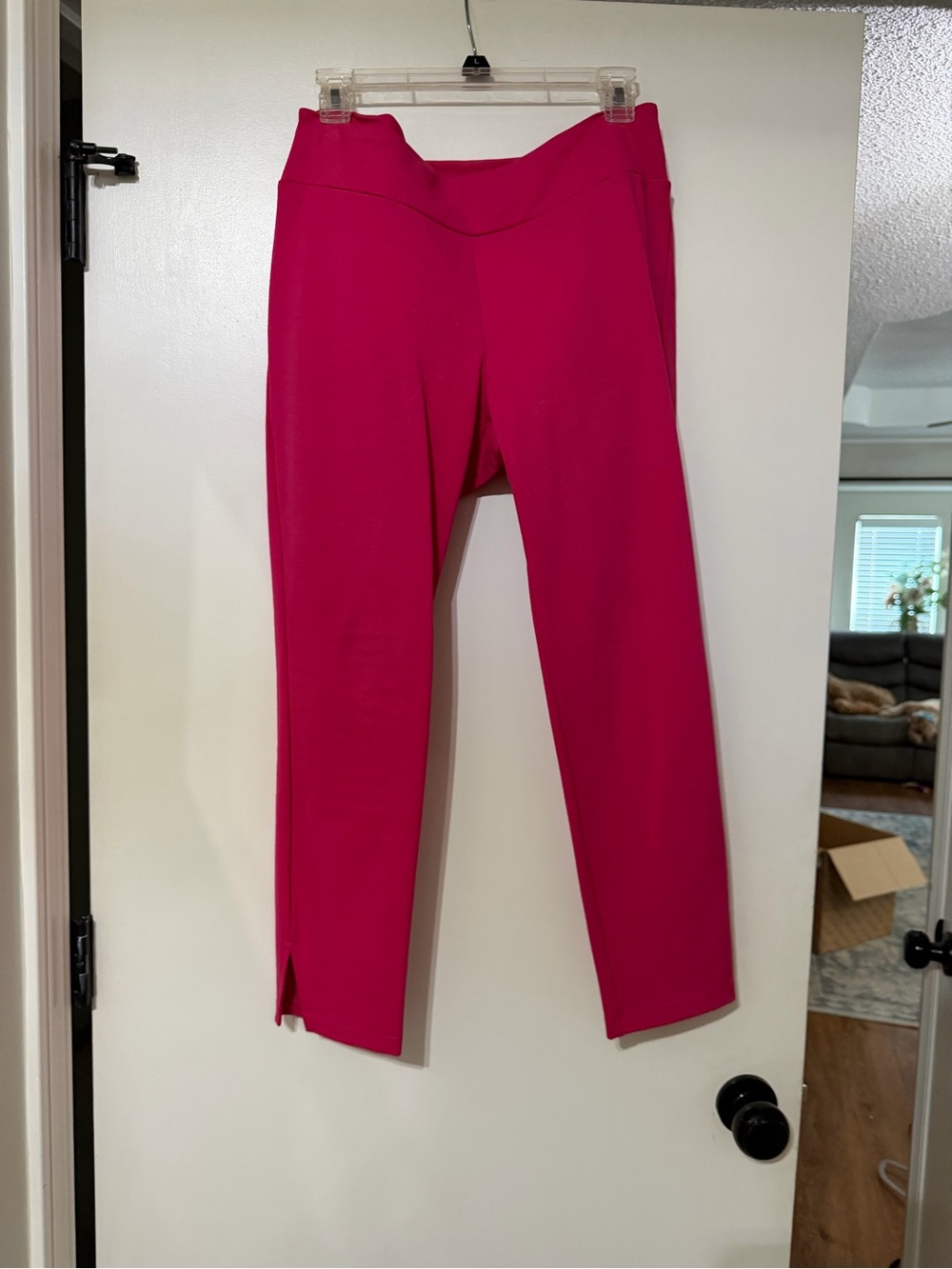 Chatoyant Bright Fuchsia Ankle Pants